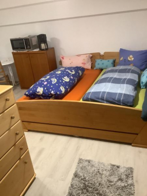 Doppelzimmer mit neuem Bad und Sportpool-Nutzung außen, im Souterrain der Villa Naturpark, Garten mit Rheinblick